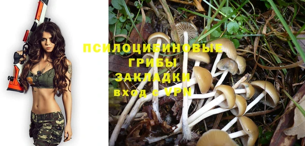 спайс Майский