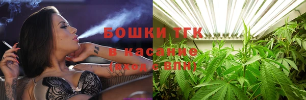 винт Белокуриха
