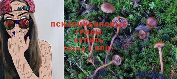 сатива Надым